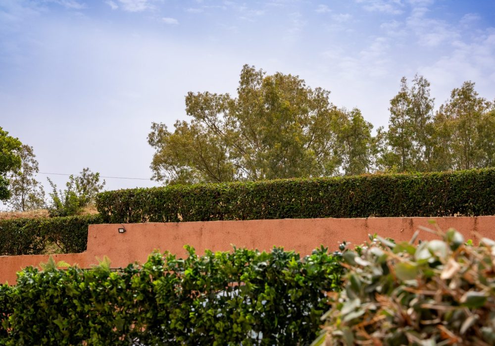 Classic Double Room With Garden View